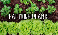 eat more plants.jpg color