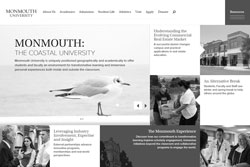 Monmouth Website