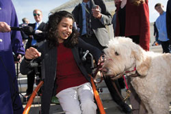 Service Dog Educational Institutions