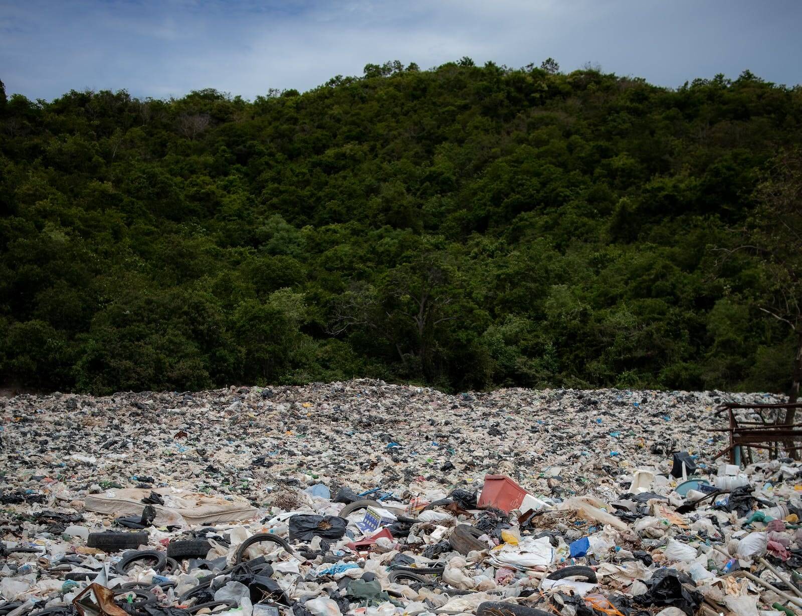 Fast Fashion and Its Environmental Impact The Outlook